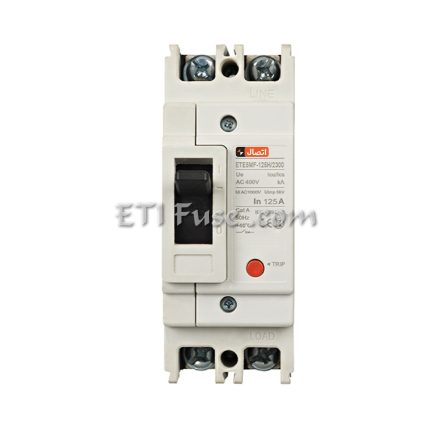 کلید اتوماتیک 2 پل ایستا توان اتصال ETE MCCB ETE6DC-MF10125 125A 1000V 2P